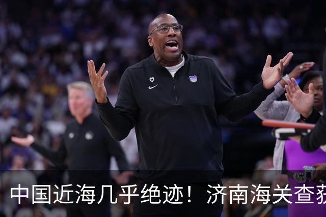 中国近海几乎绝迹！济南海关查获17只手镯，竟是由极危'国宝'制成