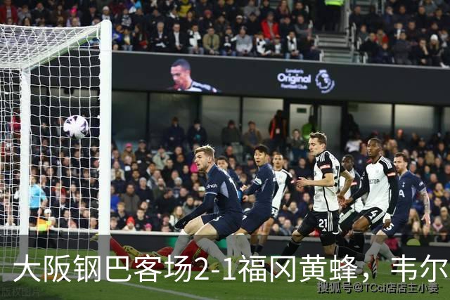 大阪钢巴客场2-1福冈黄蜂，韦尔顿、宇佐美贵史破门