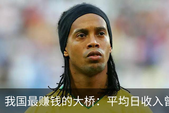 我国最赚钱的大桥：平均日收入曾高达上千万，到底为啥如此吸金？