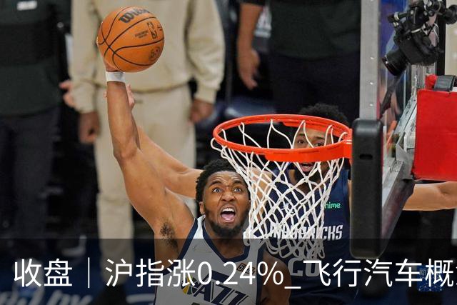收盘｜沪指涨0.24% 飞行汽车概念股大涨