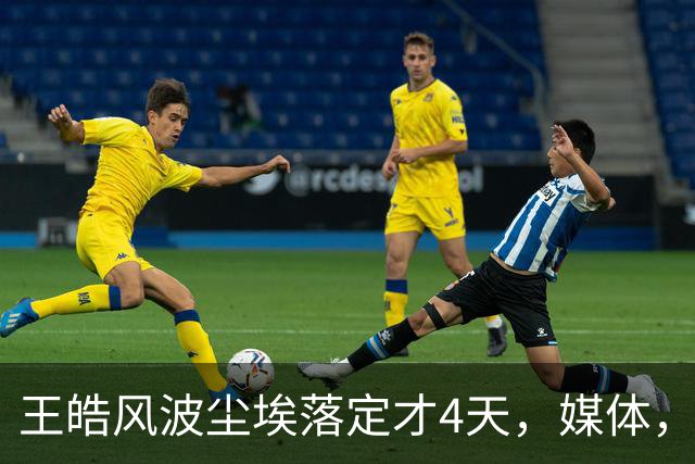 王皓风波尘埃落定才4天，媒体，“点名”，樊振东，再度让人刮目相看