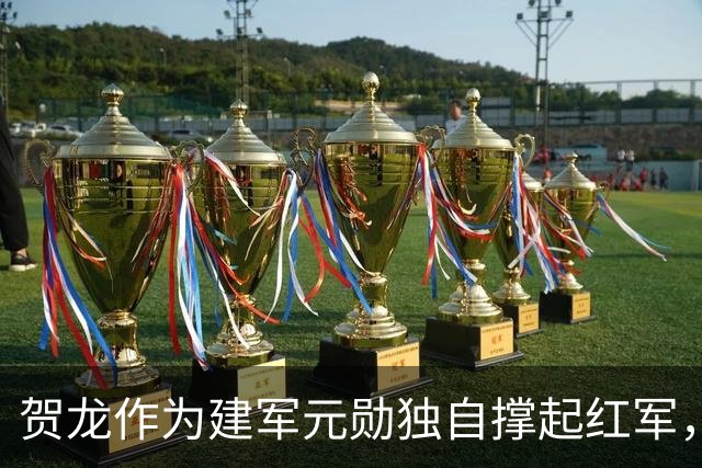 贺龙作为建军元勋独自撑起红军，为何元帅排名却在刘伯承之后？