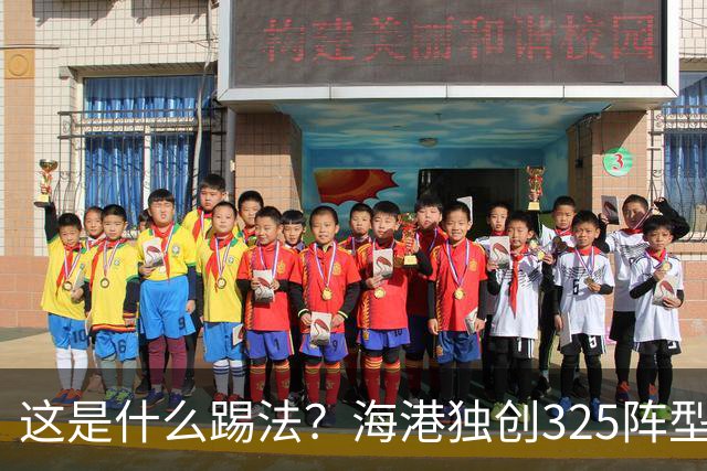 这是什么踢法？海港独创325阵型：拉爆蓉城体能，英博渔翁得利