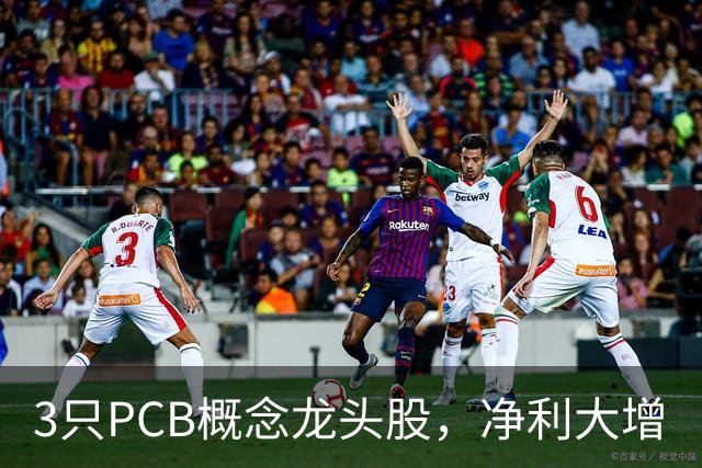 3只PCB概念龙头股，净利大增